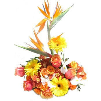 Melilas Blumen Florist- Tropischer Reise-Blumenstrauß Blumen Lieferung